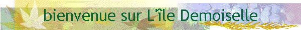 bienvenue sur L'�le Demoiselle